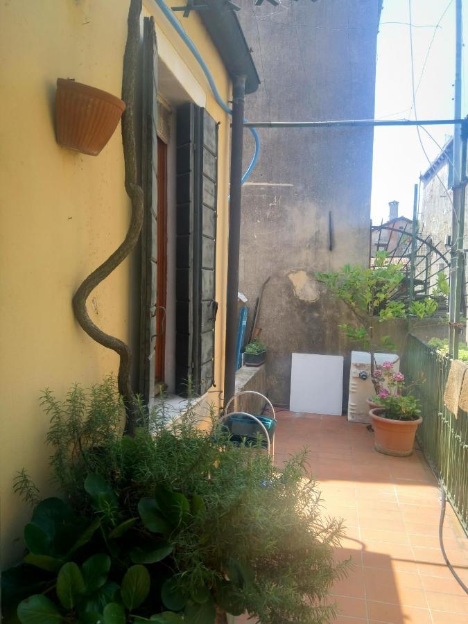 Sweet Home New البندقية المظهر الخارجي الصورة